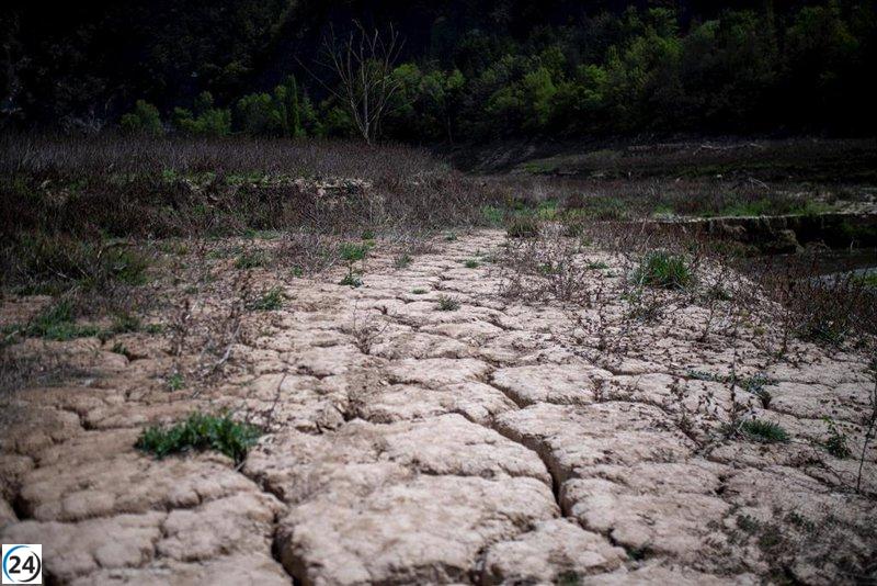 La preocupante disminución de los embalses en las cuencas internas de Cataluña alcanza un preocupante 16,73%