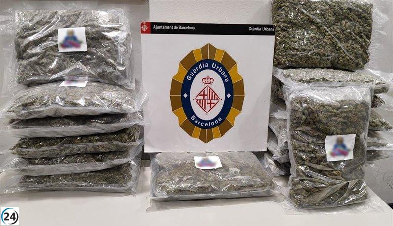 Detenido en Barcelona individuo portando 15,9 kilos de marihuana según informa la Guardia Urbana