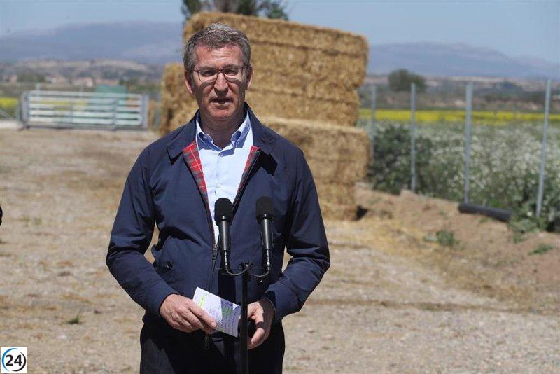 Feijóo felicita a Puigdemont por la resolución del Abogado General y pide respeto a todas las decisiones.