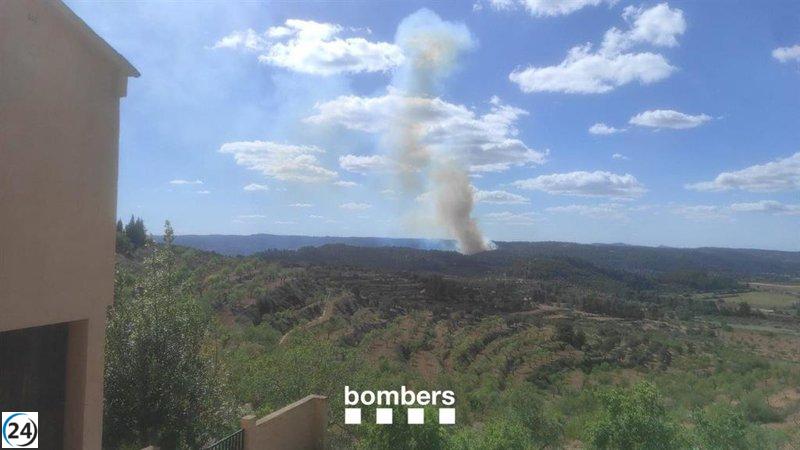 Bomberos evalúan área del incendio en Horta, Tarragona, ya controlado.