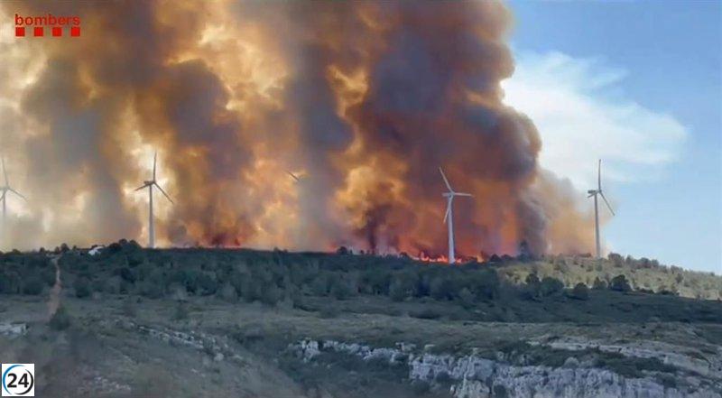 15 hectáreas arrasadas por el incendio en el Coll de l'Alba de Tortosa (Tarragona)
