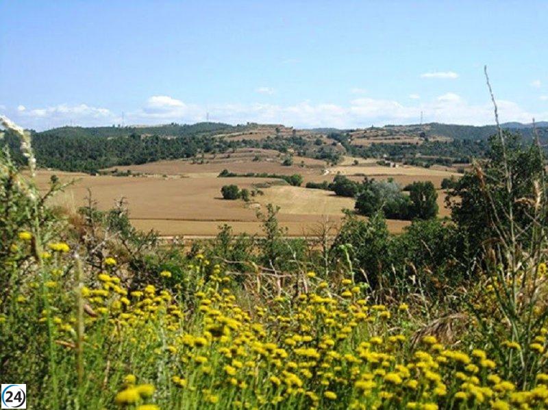 El Govern destina 6,6 millones en apoyo a agricultores perjudicados por la sequía.