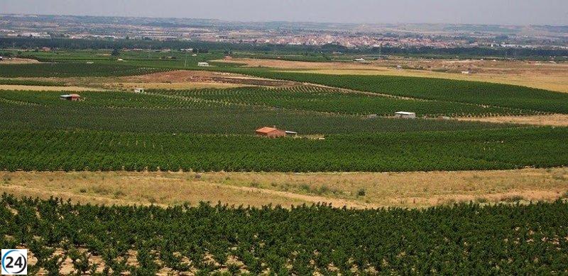 El Govern destina 13 millones a apoyar a comunidades de regantes afectadas por la sequía de 2023.