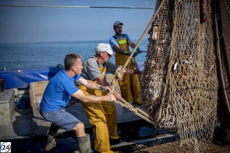 Casi mil pescadores limpian los fondos marinos de Catalunya, recolectando 67.687 kilos de basura en 2024.