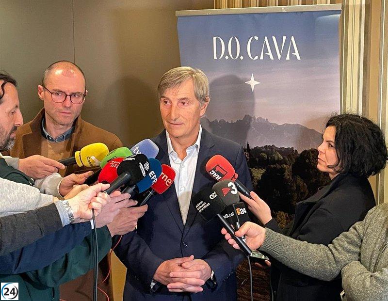La DO Cava alcanza los 2.270 millones en ingresos en 2024, pero sufre una caída del 13,4% en ventas.