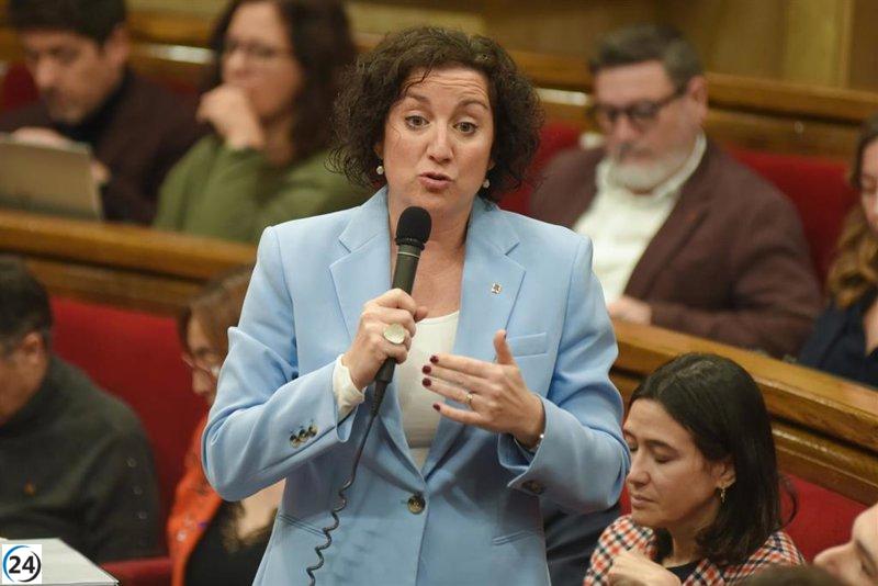 Romero considera que la recaudación de la tasa de matriculación es un paso previo hacia el IRPF.