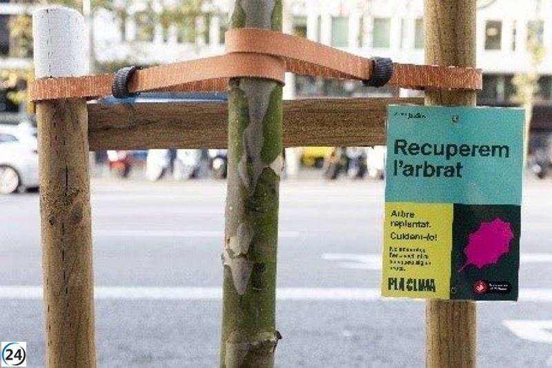 Barcelona renueva más del 40% de su vegetación dañada por la sequía.