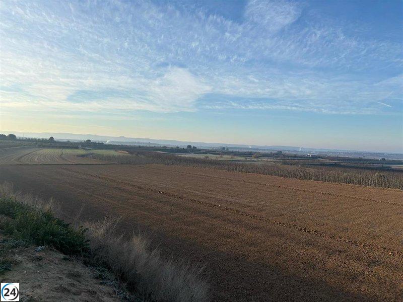 La Generalitat intensifica la caza de conejos en Lleida, sextuplicando las capturas en tres meses.