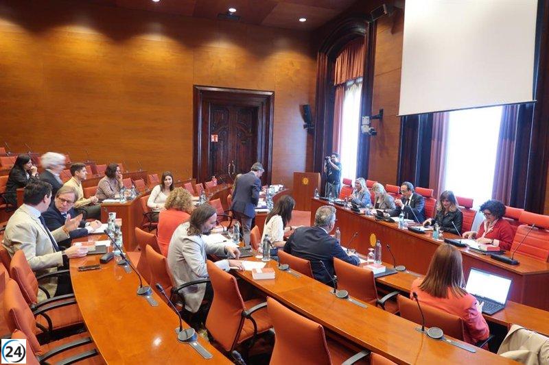 El Parlament creará un equipo de respuesta ante futuros apagones.