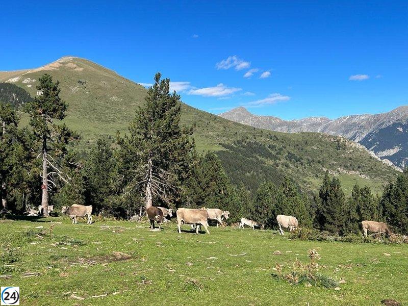Catalunya identifica tres brotes de tuberculosis en granjas.