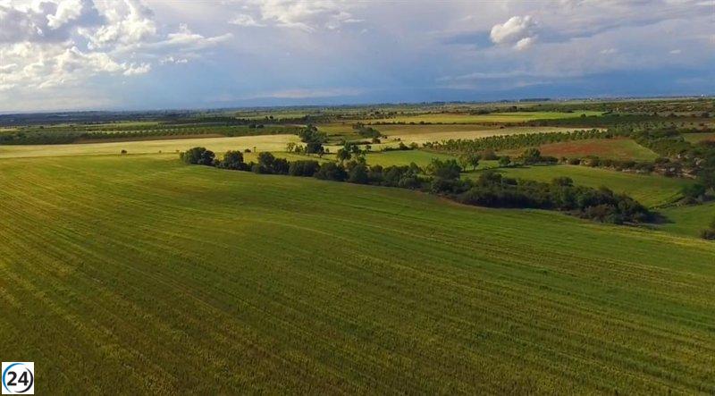 La Generalitat destina 16,5 millones en ayudas de la PAC 2024 a más de 33,000 agricultores.