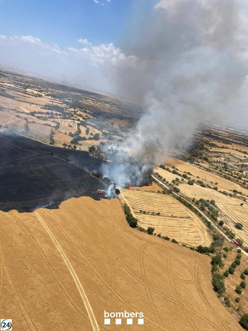 Cervera entra en cuarentena tras el incendio en Granyena de Segarra.