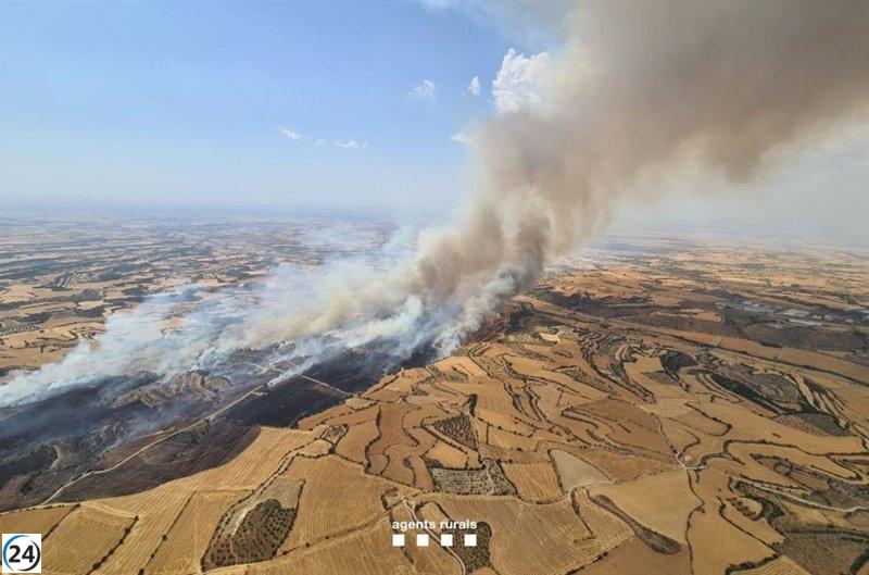 Cervera retoma la normalidad tras extinguirse el incendio en Granyena de Segarra.