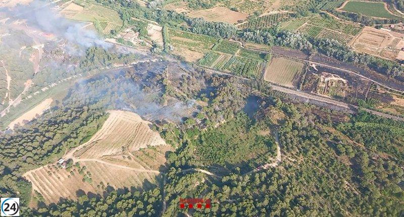 Apagan el fuego que afectaba a Martorell y Sant Esteve Sesrovires en Barcelona.