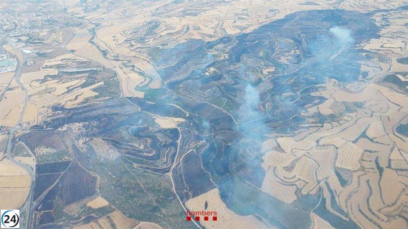 Granyena de Segarra logra controlar incendio que arrasó 473 hectáreas.
