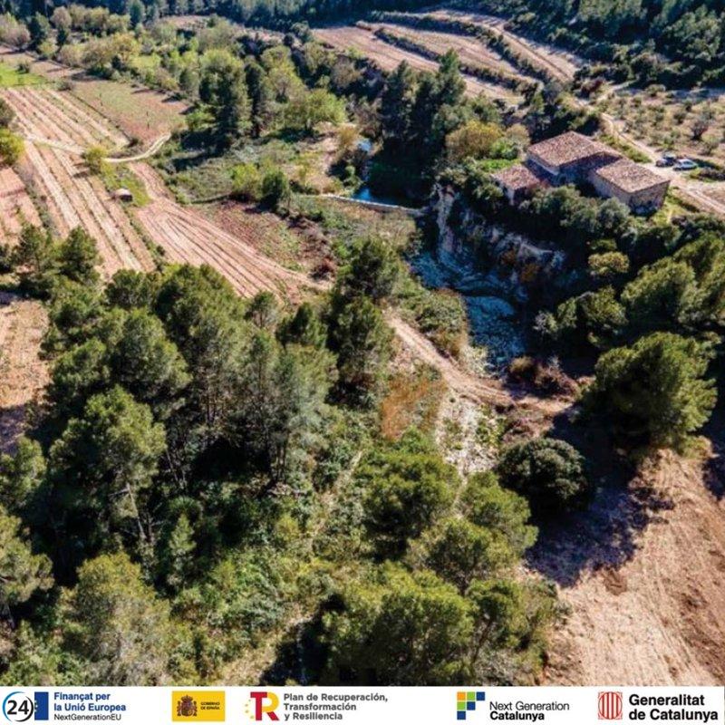 La ACA lidera la restauración ecológica de las terrazas fluviales del río Gaià en Tarragona.
