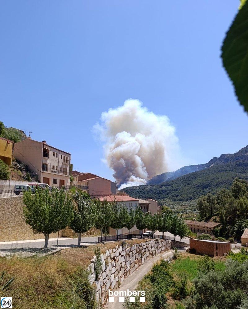 Bomberos caracterizan el incendio en Paüls (Tarragona) como de