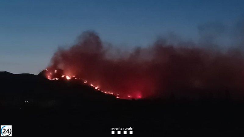 La Generalitat de Cataluña reporta más de 2.300 hectáreas devastadas por el incendio en Paüls.