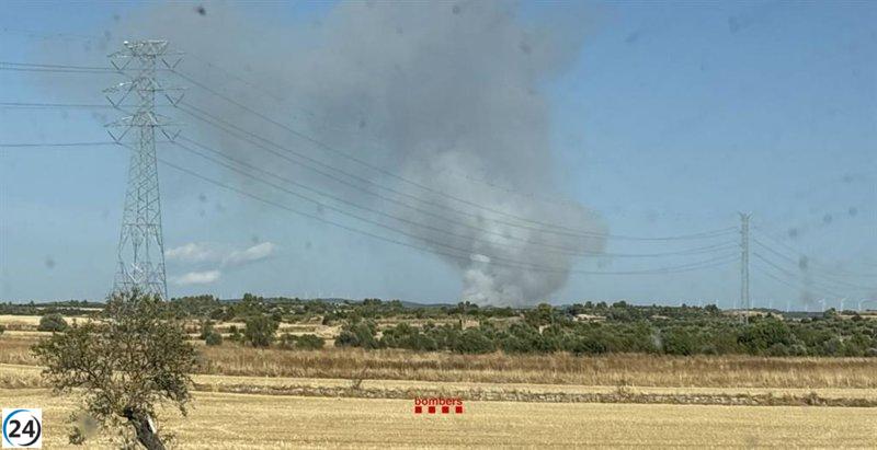 La contención del incendio en Fulleda (Lleida) se mantiene estable tras la noche del martes.