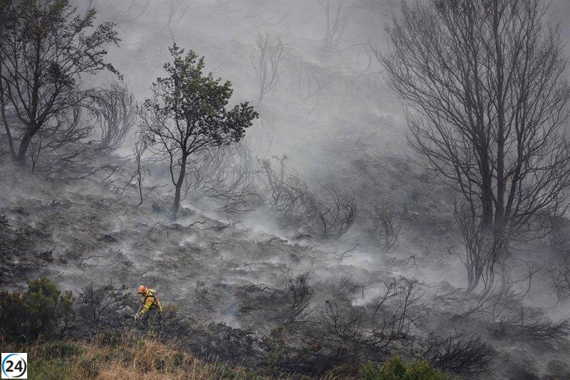 Sirera (PP) solicita el despliegue de bomberos de Barcelona para enfrentar incendios en la Península.