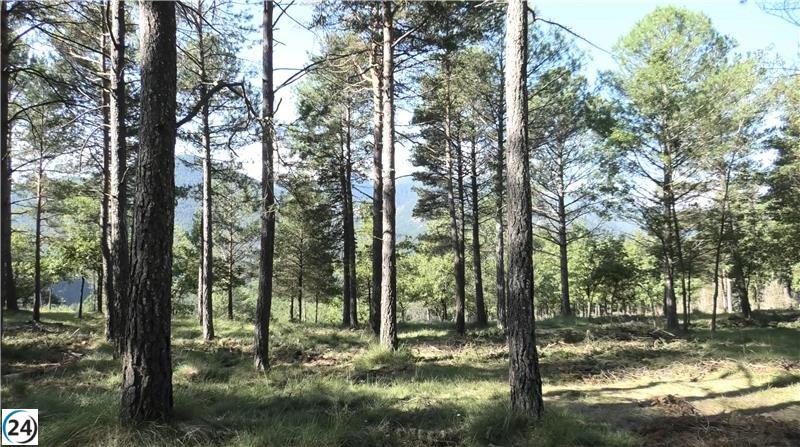 Eurecat impulsa una iniciativa para convertir biomasa forestal en textiles ecológicos.