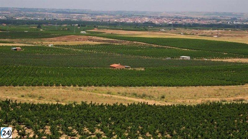El Govern destina 2,8 millones en ayudas para regantes golpeados por la sequía de 2024.