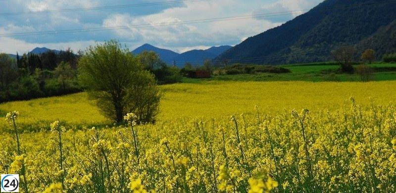 El Govern destina 252 millones en ayudas PAC para la campaña de 2024.