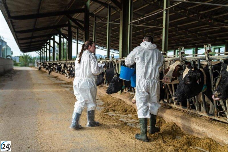 Osona limita la circulación de ganado por posible caso de DNC.