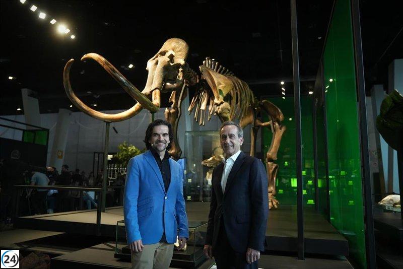 CosmoCaixa de Barcelona presenta un auténtico esqueleto de mamut lanudo de hace 40,000 años.