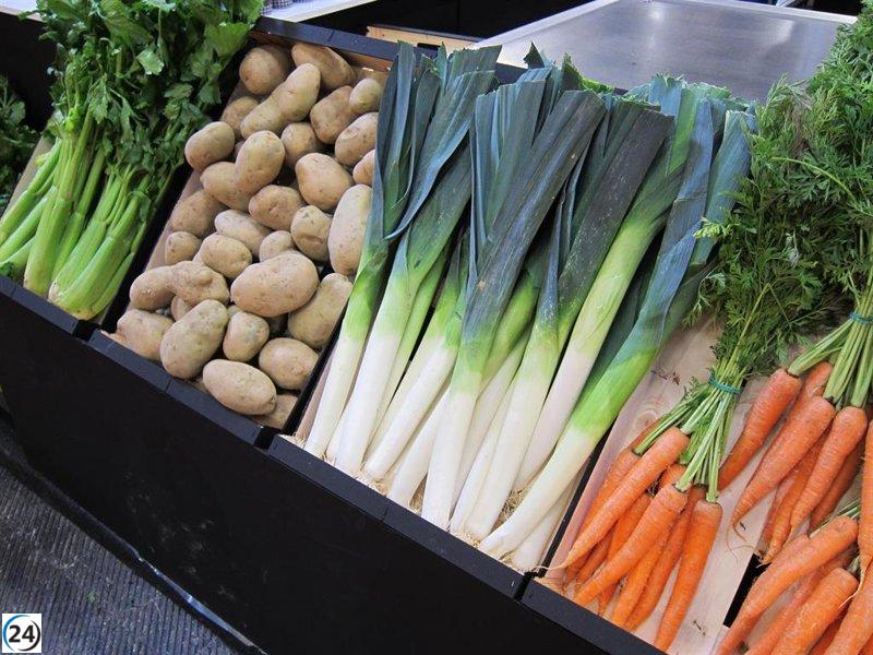 Investigadores del Idibell-ICO analizan cómo los vegetales pueden influir en el riesgo de cáncer hematológico.