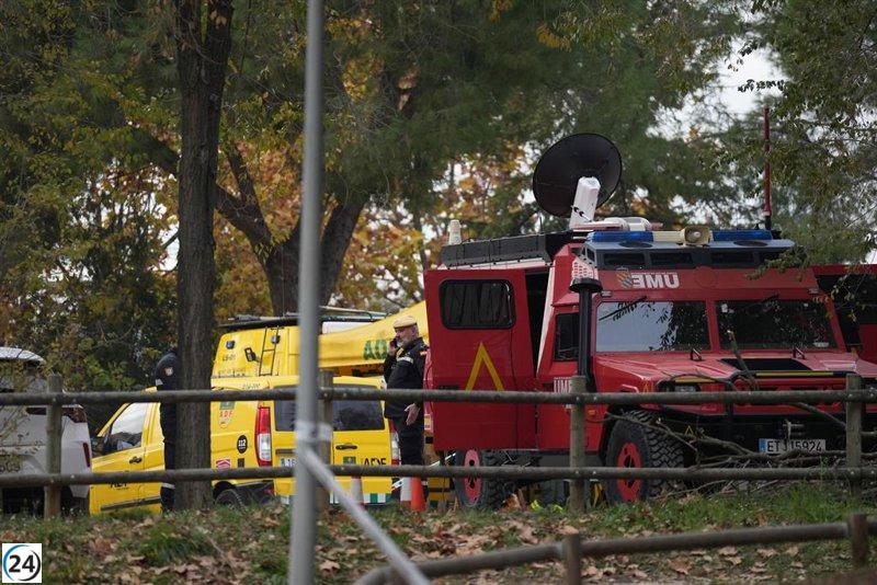 Barcelona registra 13 casos de peste porcina africana.