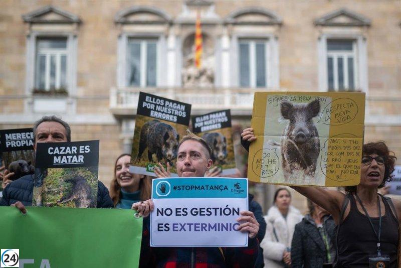 Más de 200 personas se movilizan en Barcelona para protestar contra la caza de jabalíes.