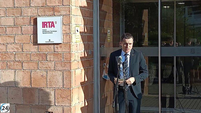 Ordeig: Japón da luz verde a la importación de carne de cerdo español anterior a la PPA.