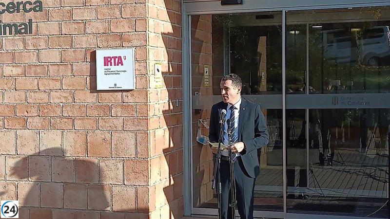 Agro.- Ordeig: La CE concluye que no hay evidencia de que la PPA se origine en el Irta-CReSA.