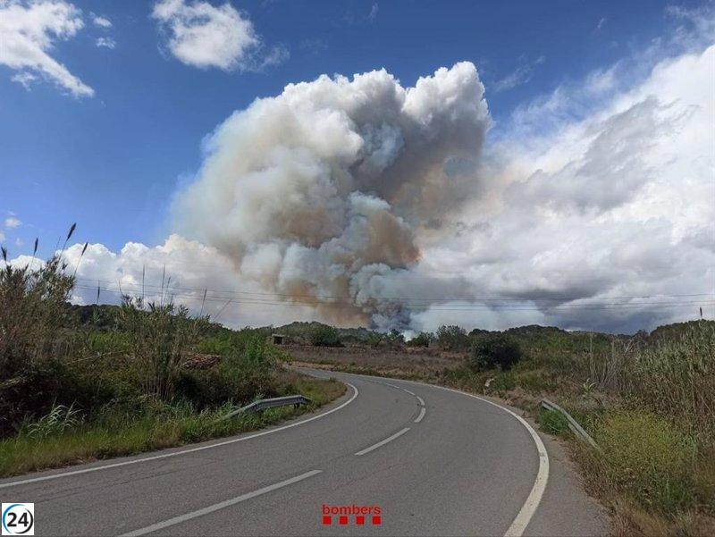 Controlado incendio forestal en Bonastre (Tarragona) que arrasó unas 60 hectáreas.