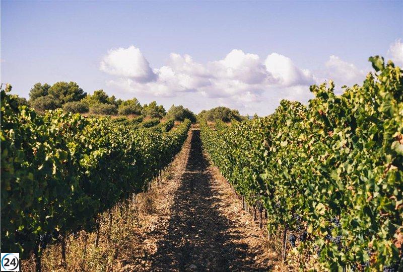 El convenio del cava prevé subida salarial del 3% hasta 2025.