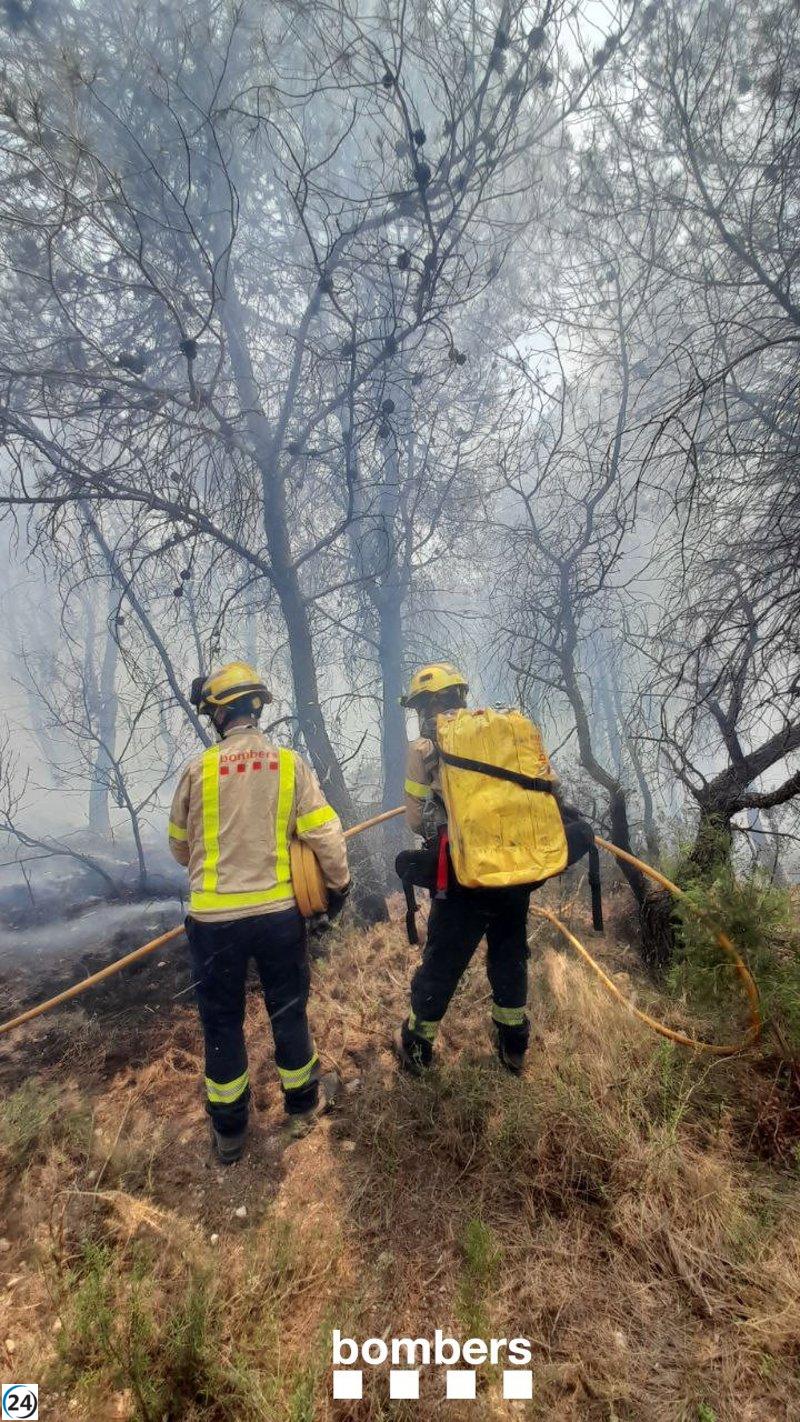 Se prosigue con la extinción del incendio controlado en Pont d'Armentera.