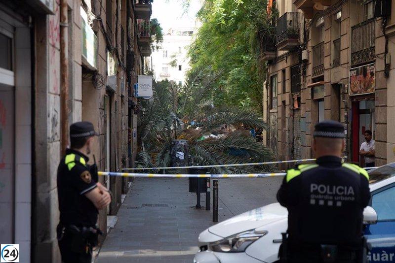Barcelona revisó la palmera caída en marzo después de denuncias de un vecino y no encontró problemas.