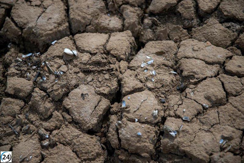 La capacidad de los embalses en las cuencas internas catalanas se reduce al 24,23%