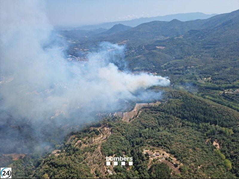 El incendio en Arbúcies (Girona) se extingue después de destruir 4,3 hectáreas de terreno.
