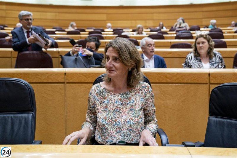 Ribera denuncia al PP por atentar contra