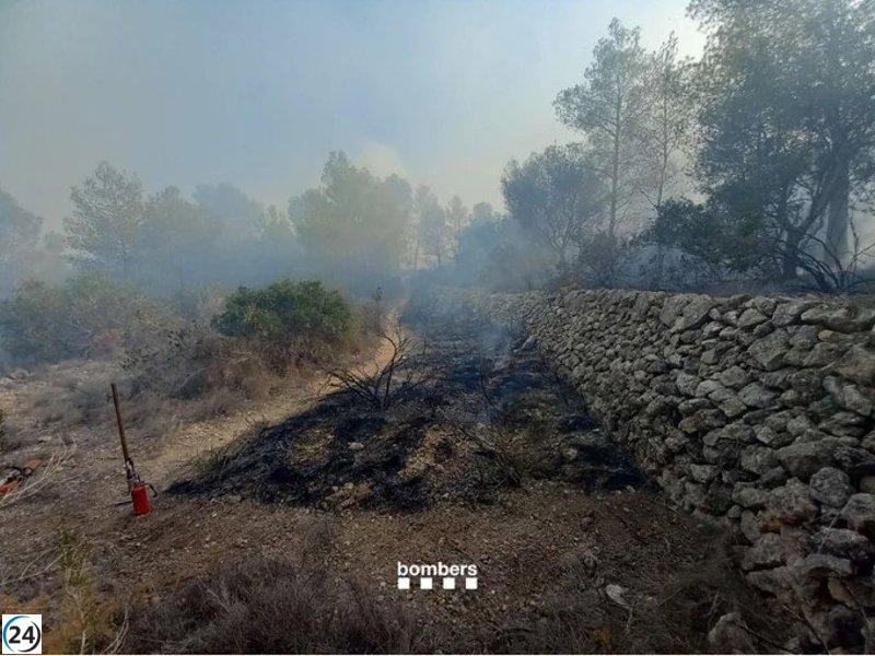 Las autoridades dan por extinguido el incendio forestal en Vespella de Gaià (Tarragona)