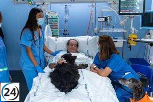 Perros de terapia llegan al Hospital del Mar para investigar su efectividad en la UCI