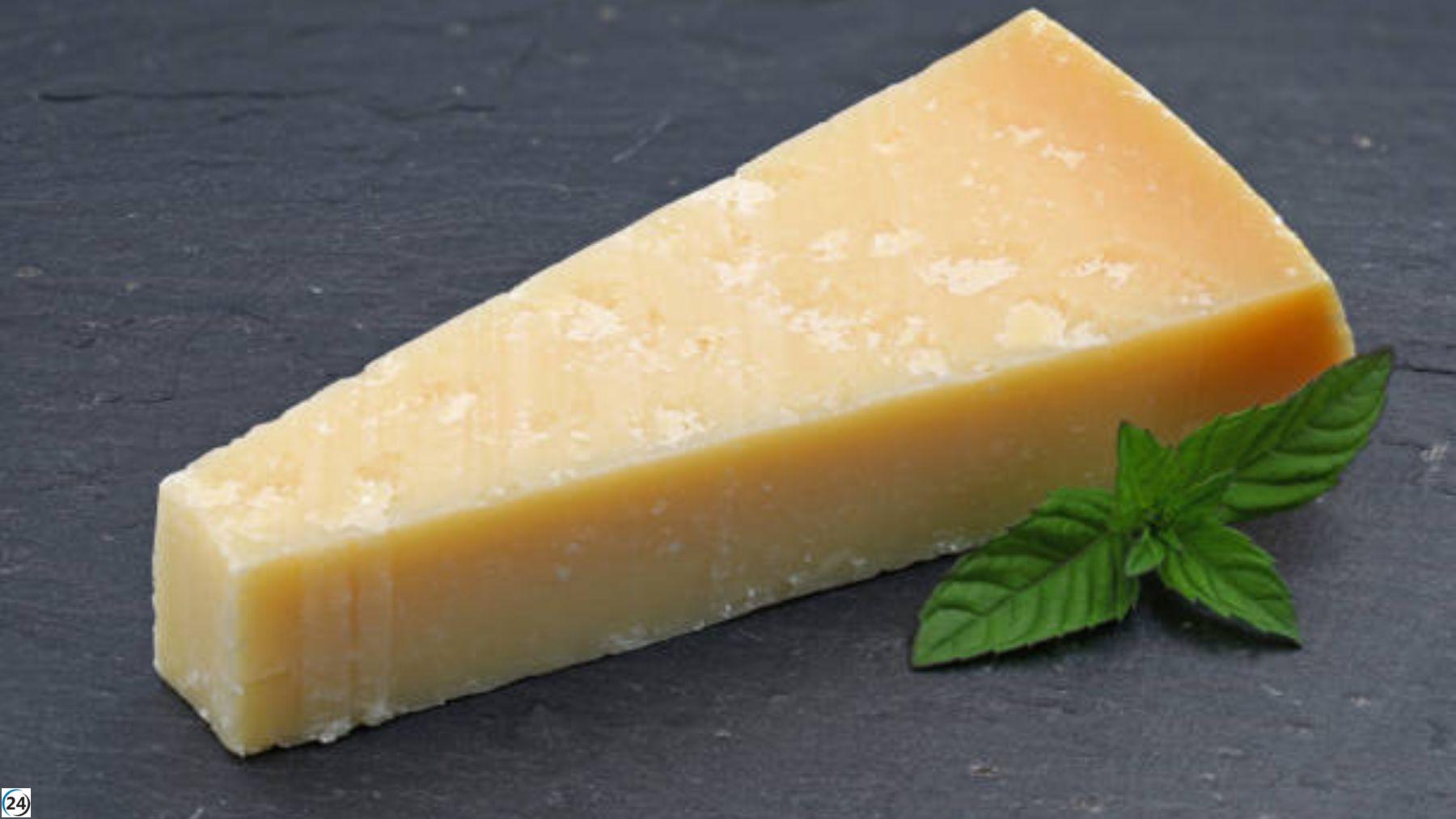 Mercadona introduce el mejor queso italiano para el hogar.