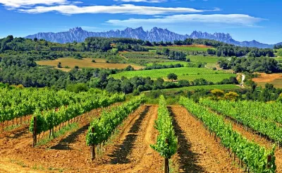 Descubre los productos gastronómicos locales en Montserrat