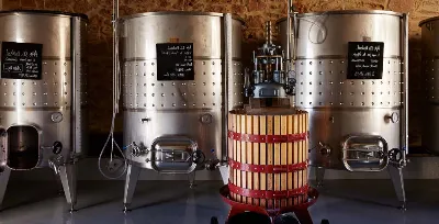 Visita una bodega ecológica en el Montsant