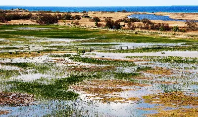Visita al parque natural de Aiguamolls de l'Empordà en la Costa Brava