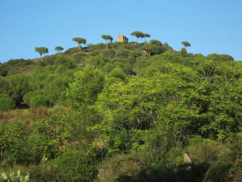 Visita la ermita de San Jerónimo de la Murtra en Montserrat