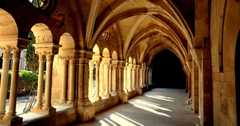 Un tour de degustación de vinos a lo largo de la Ruta del Cister