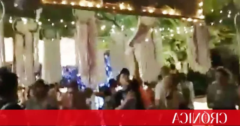 Destacando la naturaleza en las fiestas de Gracia: plantas, animales y medio ambiente